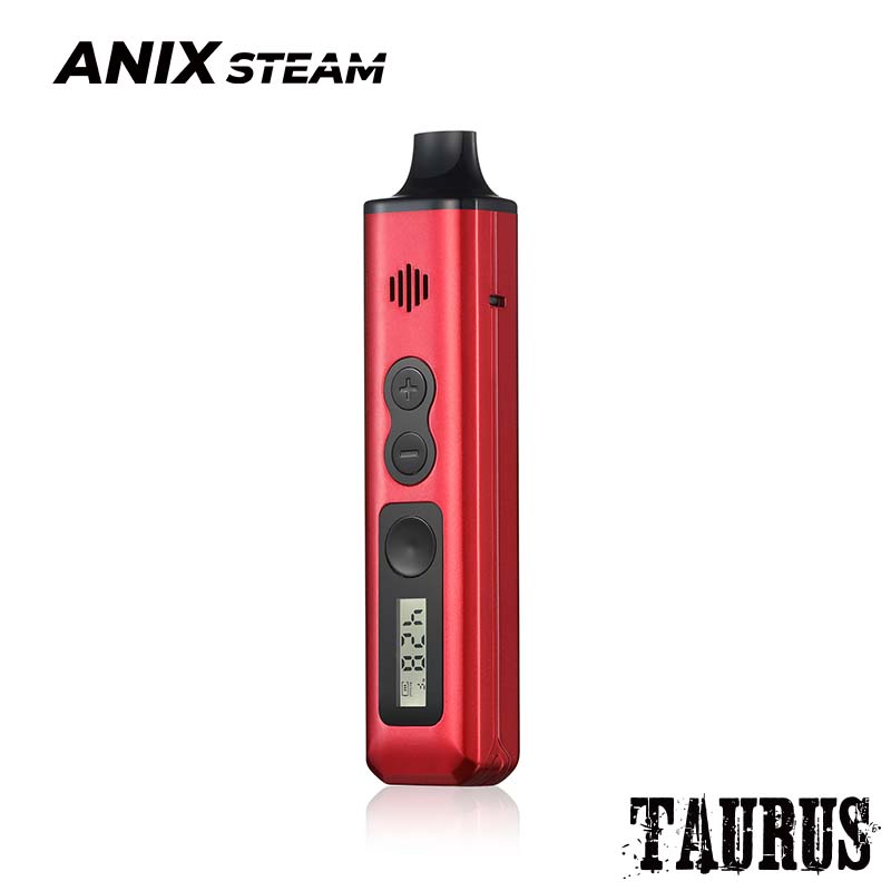 Taurus Steam Machine