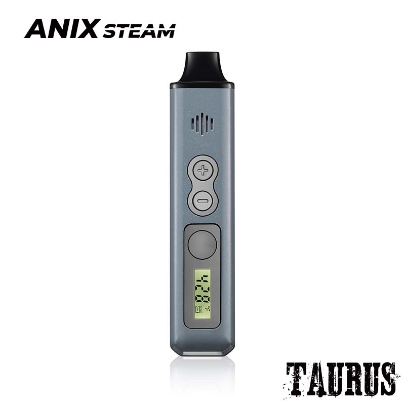 Taurus Steam Machine