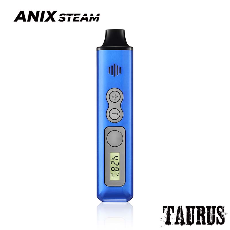 Taurus Steam Machine